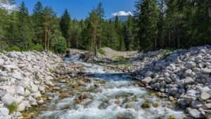 Bansko-Easy-nature-photowalk-river